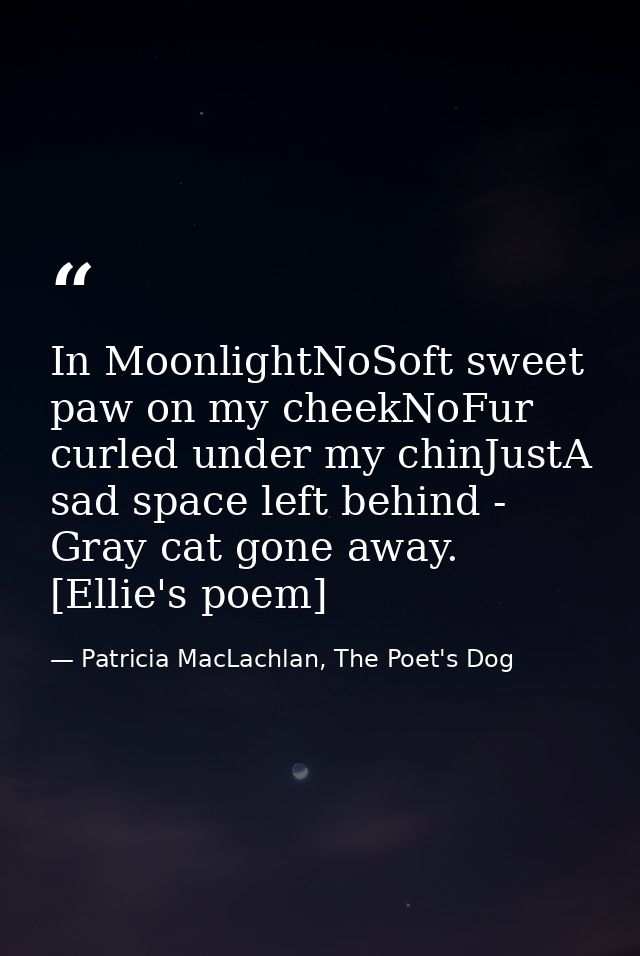 In MoonlightNoSoft sweet paw on my cheekNoFur curled under my chinJustA sad space left behind - Gray cat gone away. [Ell — Patricia MacLachlan, The Poet's Dog