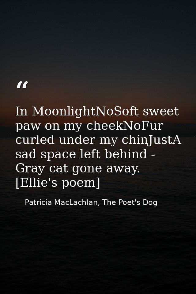 In MoonlightNoSoft sweet paw on my cheekNoFur curled under my chinJustA sad space left behind - Gray cat gone away. [Ell — Patricia MacLachlan, The Poet's Dog