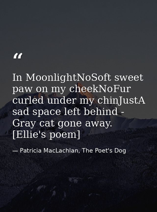 In MoonlightNoSoft sweet paw on my cheekNoFur curled under my chinJustA sad space left behind - Gray cat gone away. [Ell — Patricia MacLachlan, The Poet's Dog