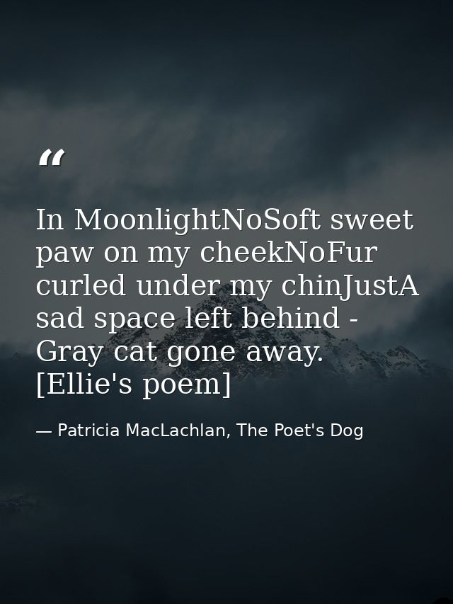 In MoonlightNoSoft sweet paw on my cheekNoFur curled under my chinJustA sad space left behind - Gray cat gone away. [Ell — Patricia MacLachlan, The Poet's Dog