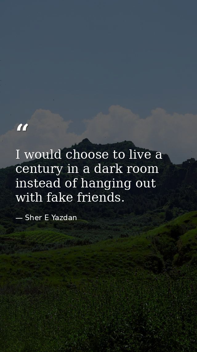 I would choose to live a century in a dark room instead of hanging out with fake friends. — Sher E Yazdan