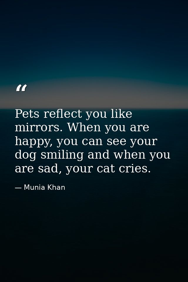 Pets reflect you like mirrors. When you are happy, you can see your dog smiling and when you are sad, your cat cries. — Munia Khan