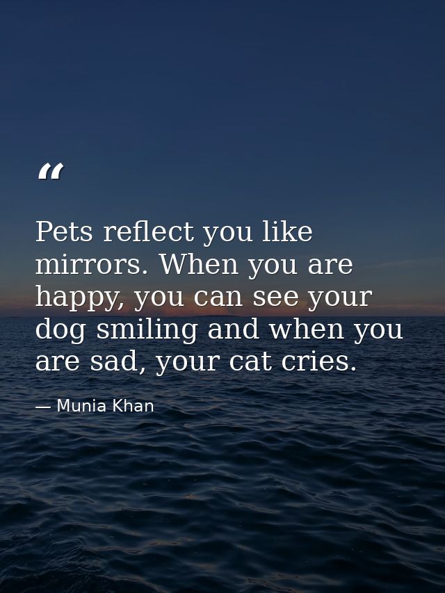 Pets reflect you like mirrors. When you are happy, you can see your dog smiling and when you are sad, your cat cries. — Munia Khan
