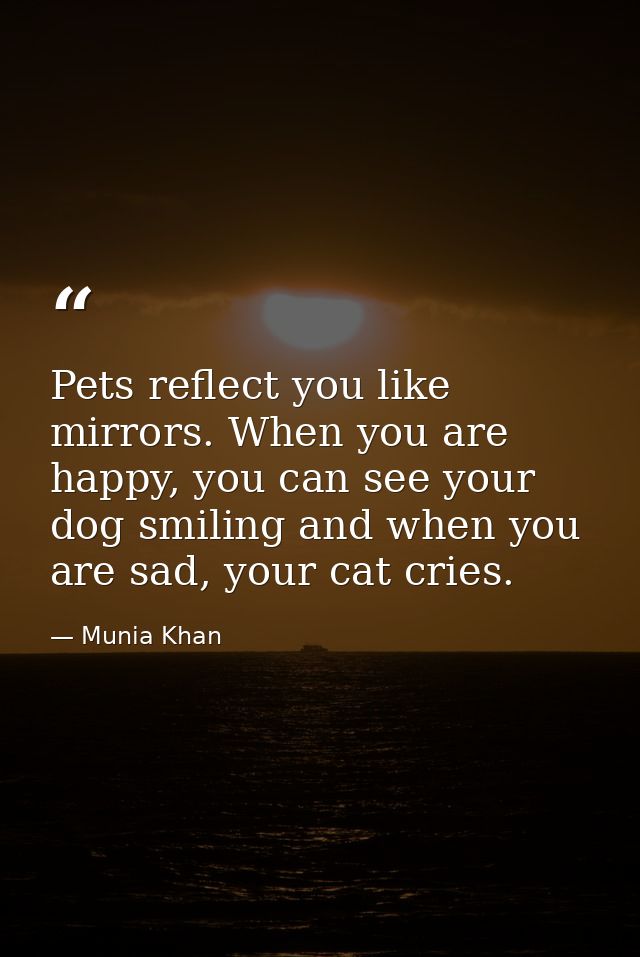Pets reflect you like mirrors. When you are happy, you can see your dog smiling and when you are sad, your cat cries. — Munia Khan