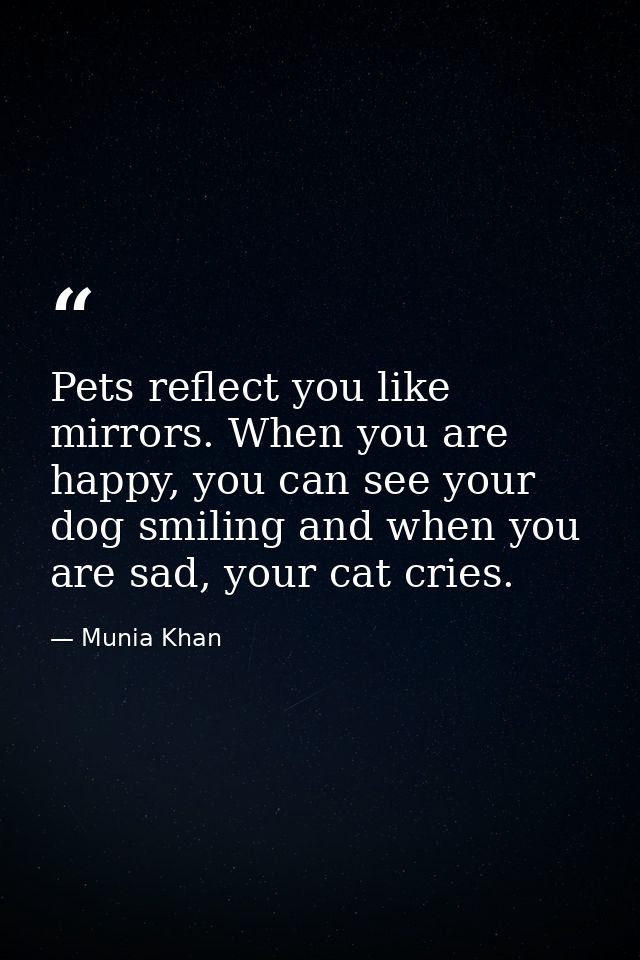 Pets reflect you like mirrors. When you are happy, you can see your dog smiling and when you are sad, your cat cries. — Munia Khan