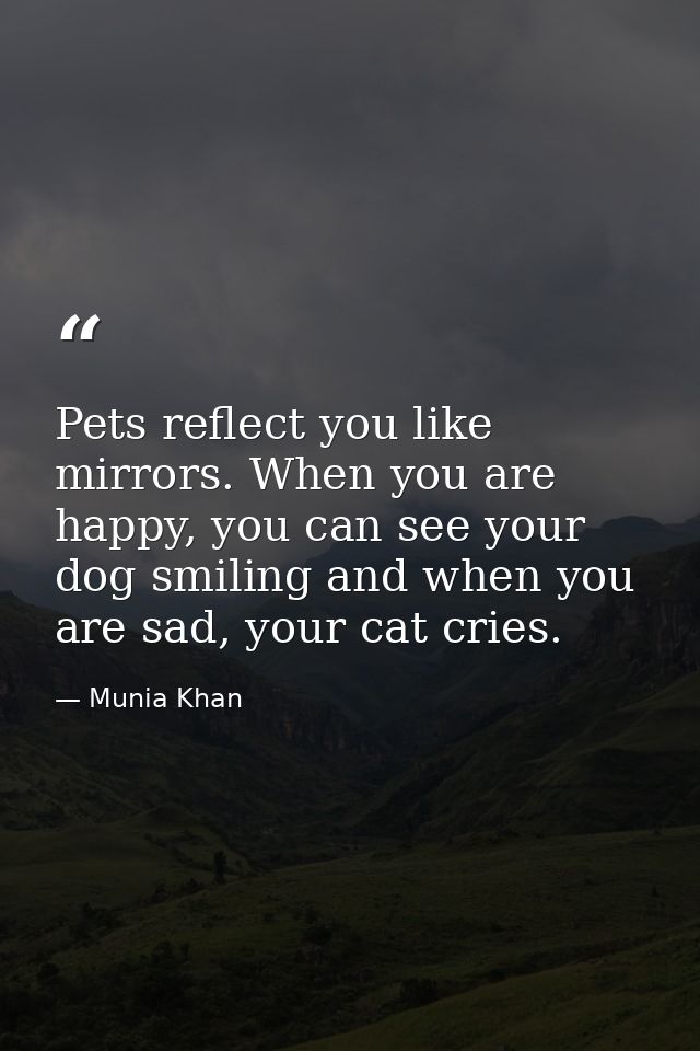 Pets reflect you like mirrors. When you are happy, you can see your dog smiling and when you are sad, your cat cries. — Munia Khan