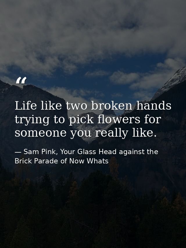 Life like two broken hands trying to pick flowers for someone you really like. — Sam Pink, Your Glass Head against the Brick Parade of Now Whats