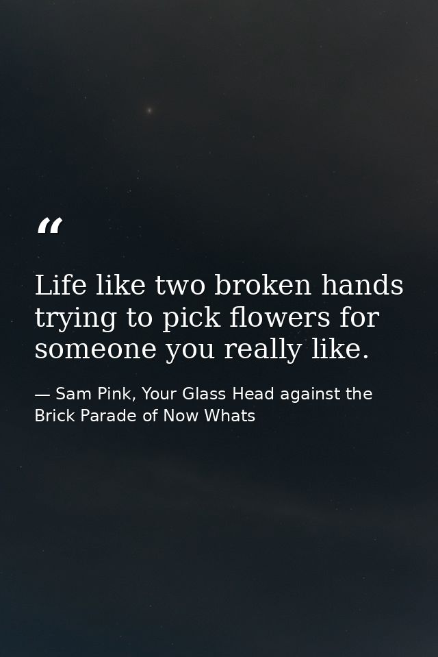 Life like two broken hands trying to pick flowers for someone you really like. — Sam Pink, Your Glass Head against the Brick Parade of Now Whats