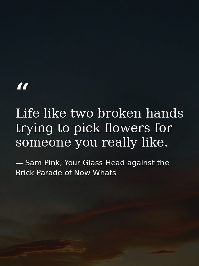 Life like two broken hands trying to pick flowers for someone you really like. — Sam Pink, Your Glass Head against the Brick Parade of Now Whats