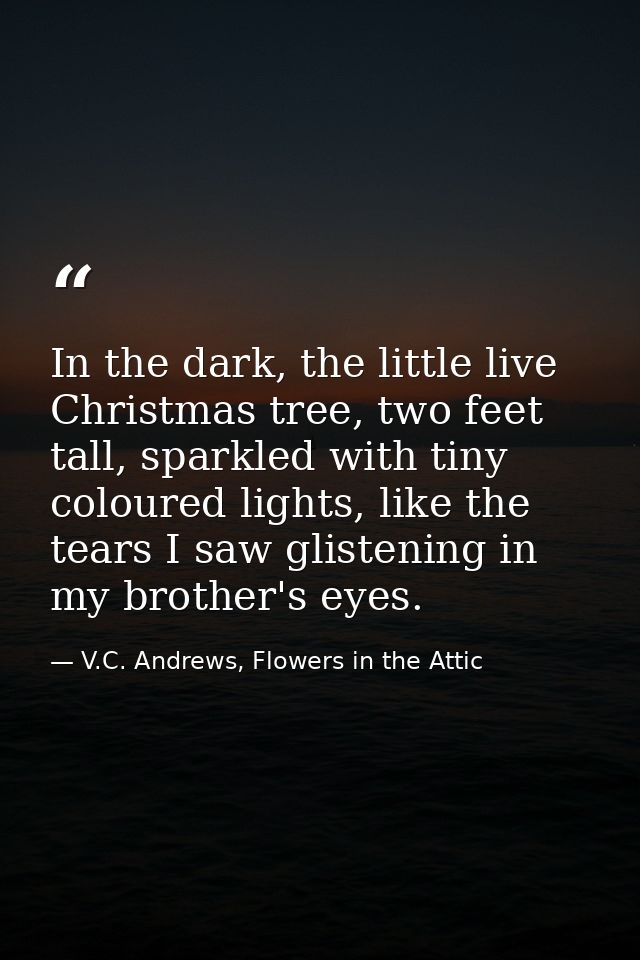 In the dark, the little live Christmas tree, two feet tall, sparkled with tiny coloured lights, like the tears I saw gli — V.C. Andrews, Flowers in the Attic