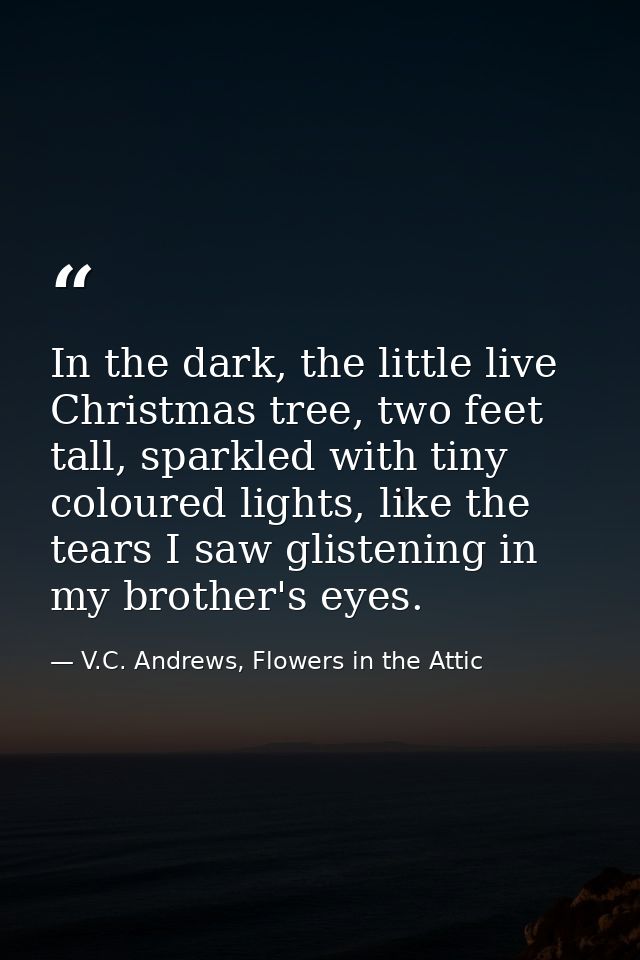 In the dark, the little live Christmas tree, two feet tall, sparkled with tiny coloured lights, like the tears I saw gli — V.C. Andrews, Flowers in the Attic