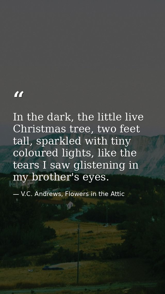 In the dark, the little live Christmas tree, two feet tall, sparkled with tiny coloured lights, like the tears I saw gli — V.C. Andrews, Flowers in the Attic