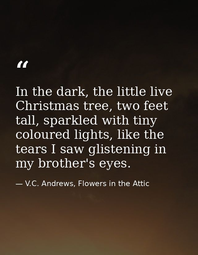 In the dark, the little live Christmas tree, two feet tall, sparkled with tiny coloured lights, like the tears I saw gli — V.C. Andrews, Flowers in the Attic