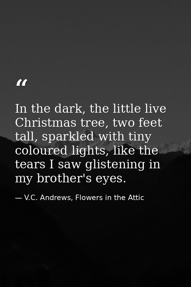In the dark, the little live Christmas tree, two feet tall, sparkled with tiny coloured lights, like the tears I saw gli — V.C. Andrews, Flowers in the Attic