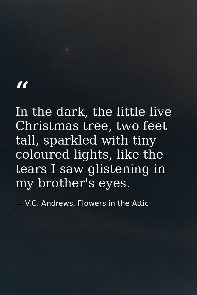 In the dark, the little live Christmas tree, two feet tall, sparkled with tiny coloured lights, like the tears I saw gli — V.C. Andrews, Flowers in the Attic
