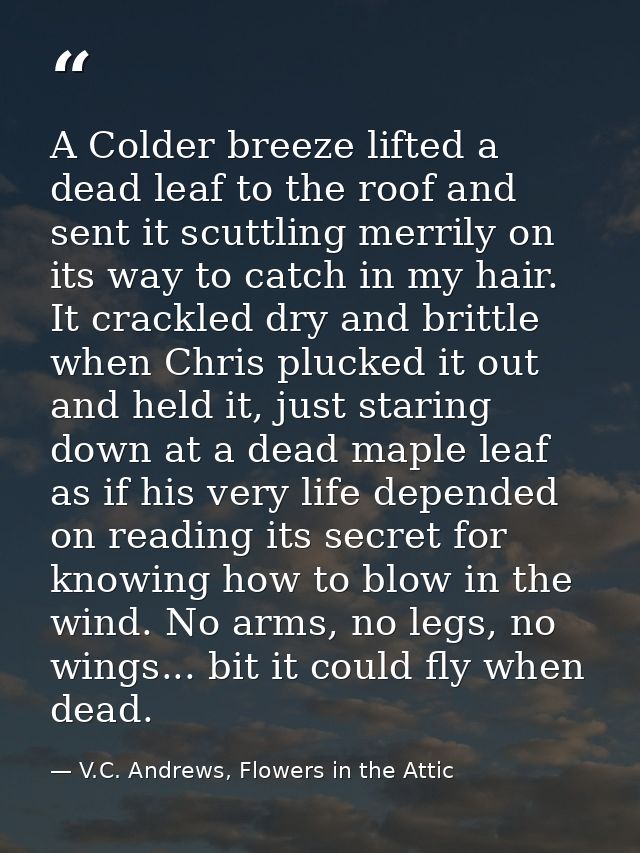 A Colder breeze lifted a dead leaf to the roof and sent it scuttling merrily on its way to catch in my hair. It crackled — V.C. Andrews, Flowers in the Attic