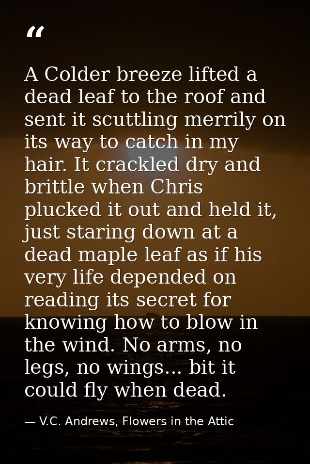 A Colder breeze lifted a dead leaf to the roof and sent it scuttling merrily on its way to catch in my hair. It crackled — V.C. Andrews, Flowers in the Attic