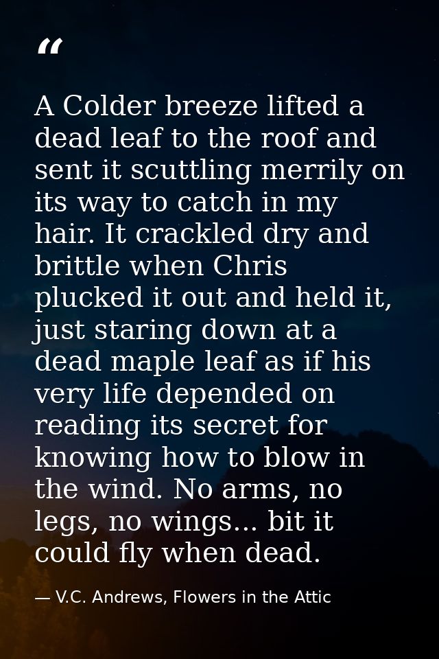 A Colder breeze lifted a dead leaf to the roof and sent it scuttling merrily on its way to catch in my hair. It crackled — V.C. Andrews, Flowers in the Attic