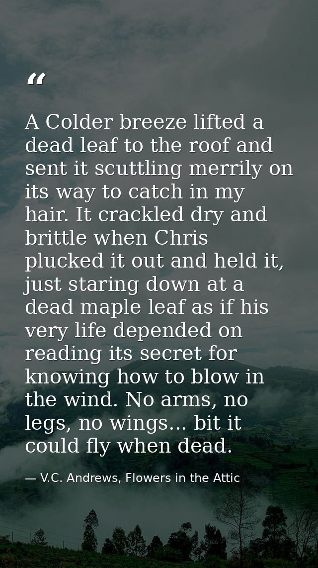 A Colder breeze lifted a dead leaf to the roof and sent it scuttling merrily on its way to catch in my hair. It crackled — V.C. Andrews, Flowers in the Attic