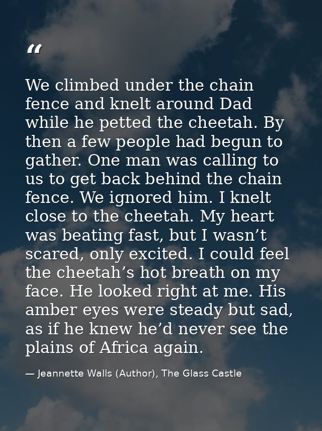 We climbed under the chain fence and knelt around Dad while he petted the cheetah. By then a few people had begun to gat — Jeannette Walls (Author), The Glass Castle