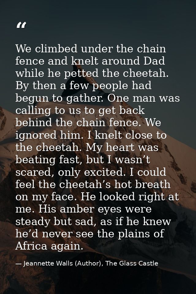 We climbed under the chain fence and knelt around Dad while he petted the cheetah. By then a few people had begun to gat — Jeannette Walls (Author), The Glass Castle