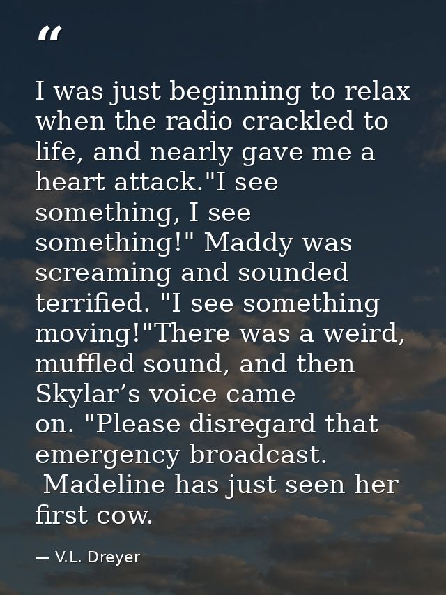I was just beginning to relax when the radio crackled to life, and nearly gave me a heart attack."I see something, I see — V.L. Dreyer