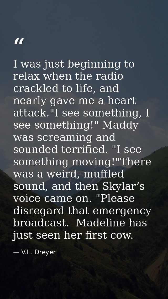 I was just beginning to relax when the radio crackled to life, and nearly gave me a heart attack."I see something, I see — V.L. Dreyer