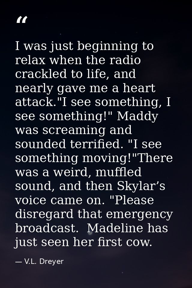 I was just beginning to relax when the radio crackled to life, and nearly gave me a heart attack."I see something, I see — V.L. Dreyer