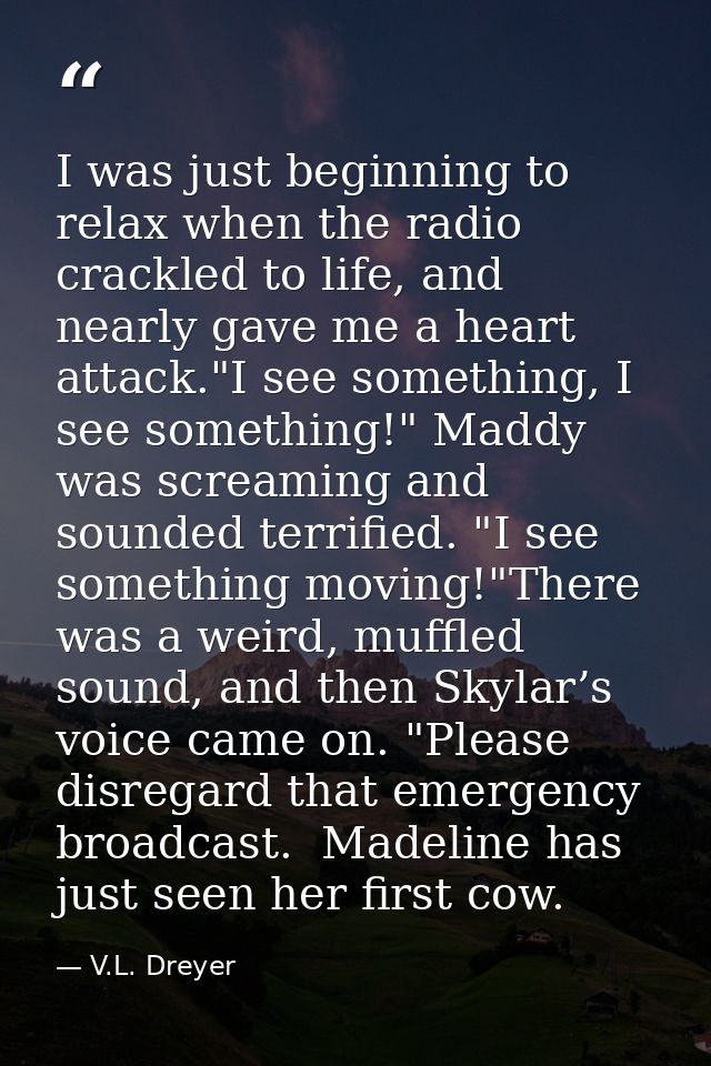 I was just beginning to relax when the radio crackled to life, and nearly gave me a heart attack."I see something, I see — V.L. Dreyer
