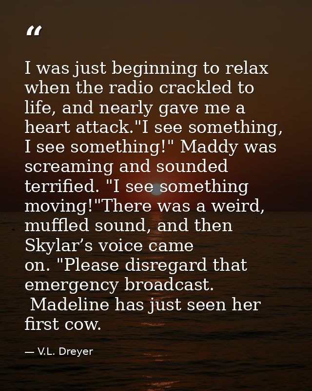 I was just beginning to relax when the radio crackled to life, and nearly gave me a heart attack."I see something, I see — V.L. Dreyer