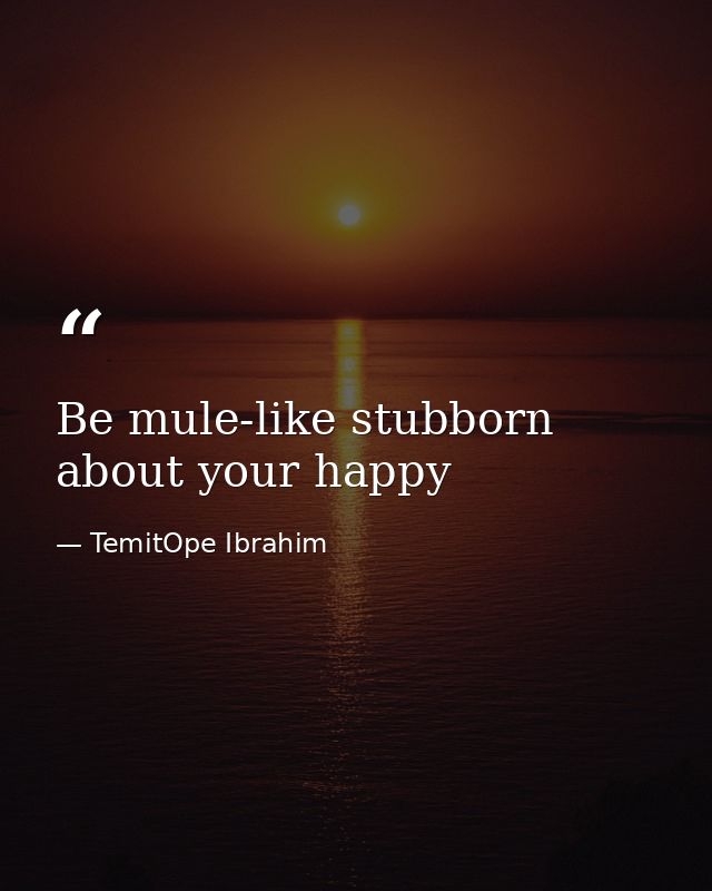 Be mule-like stubborn about your happy — TemitOpe Ibrahim