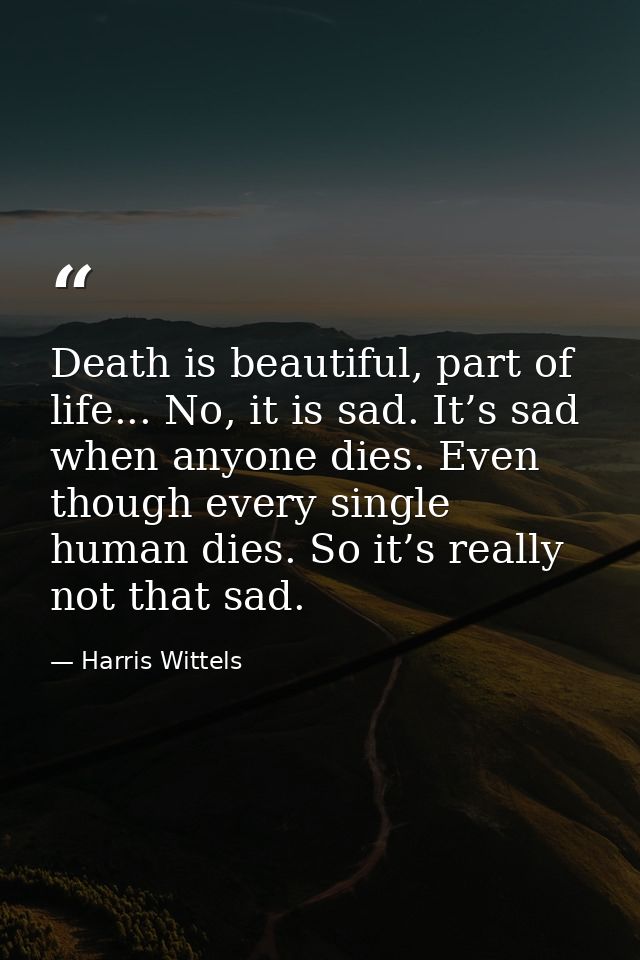 Death is beautiful, part of life... No, it is sad. It’s sad when anyone dies. Even though every single human dies. So it — Harris Wittels