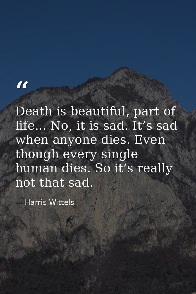 Death is beautiful, part of life... No, it is sad. It’s sad when anyone dies. Even though every single human dies. So it — Harris Wittels