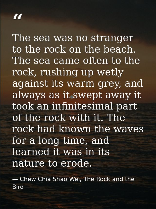 The sea was no stranger to the rock on the beach. The sea came often to the rock, rushing up wetly against its warm grey — Chew Chia Shao Wei, The Rock and the Bird