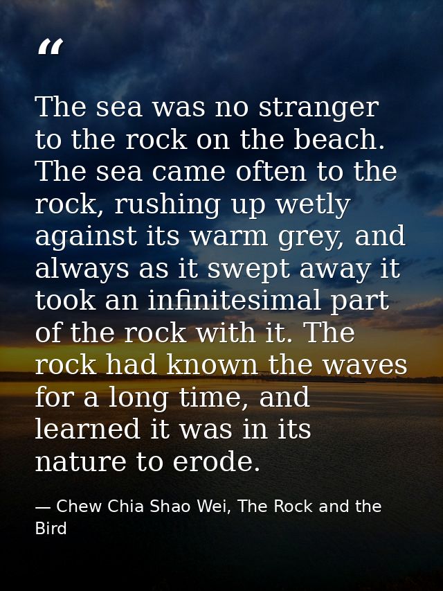 The sea was no stranger to the rock on the beach. The sea came often to the rock, rushing up wetly against its warm grey — Chew Chia Shao Wei, The Rock and the Bird