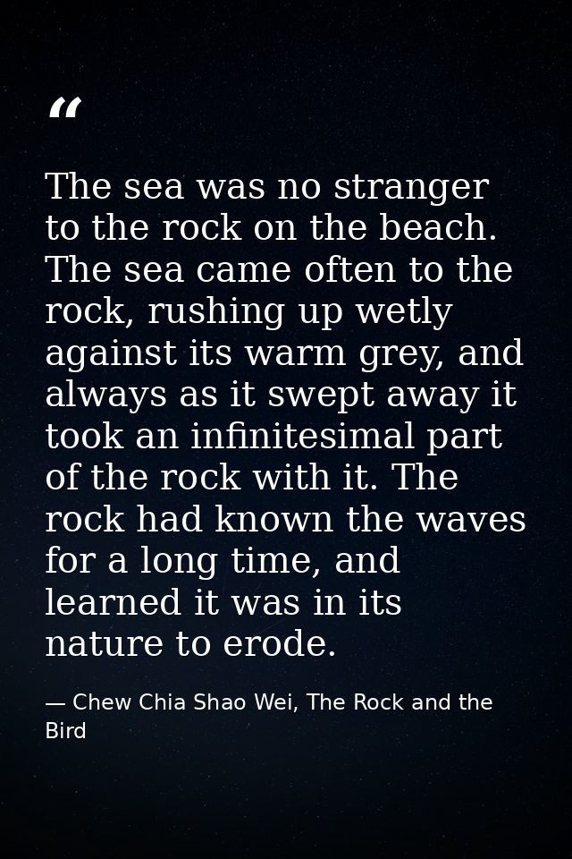 The sea was no stranger to the rock on the beach. The sea came often to the rock, rushing up wetly against its warm grey — Chew Chia Shao Wei, The Rock and the Bird