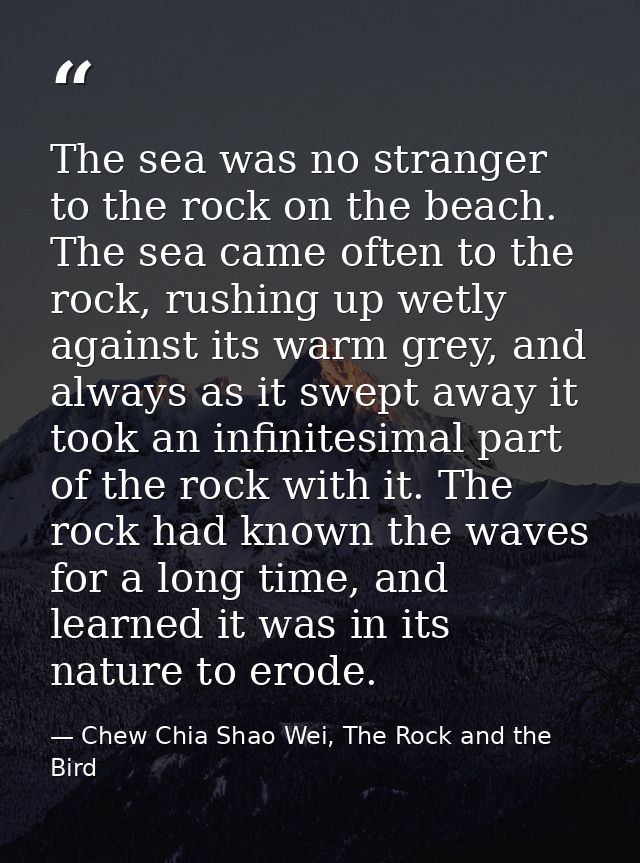 The sea was no stranger to the rock on the beach. The sea came often to the rock, rushing up wetly against its warm grey — Chew Chia Shao Wei, The Rock and the Bird