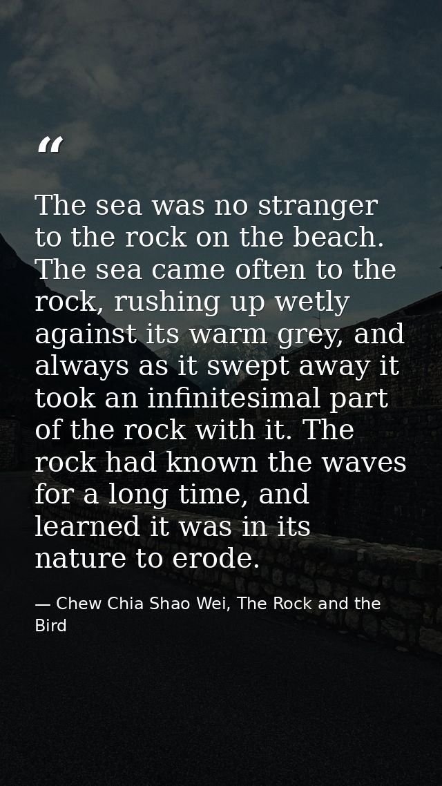 The sea was no stranger to the rock on the beach. The sea came often to the rock, rushing up wetly against its warm grey — Chew Chia Shao Wei, The Rock and the Bird