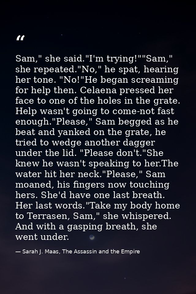 Sam," she said."I'm trying!""Sam," she repeated."No," he spat, hearing her tone. "No!"He began screaming for help then.  — Sarah J. Maas, The Assassin and the Empire