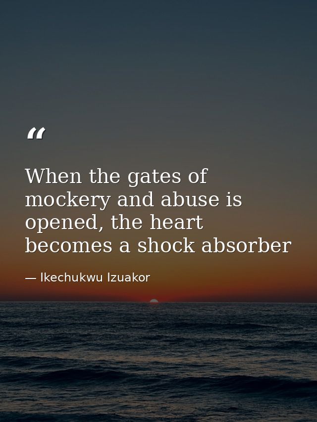 When the gates of mockery and abuse is opened, the heart becomes a shock absorber — Ikechukwu Izuakor