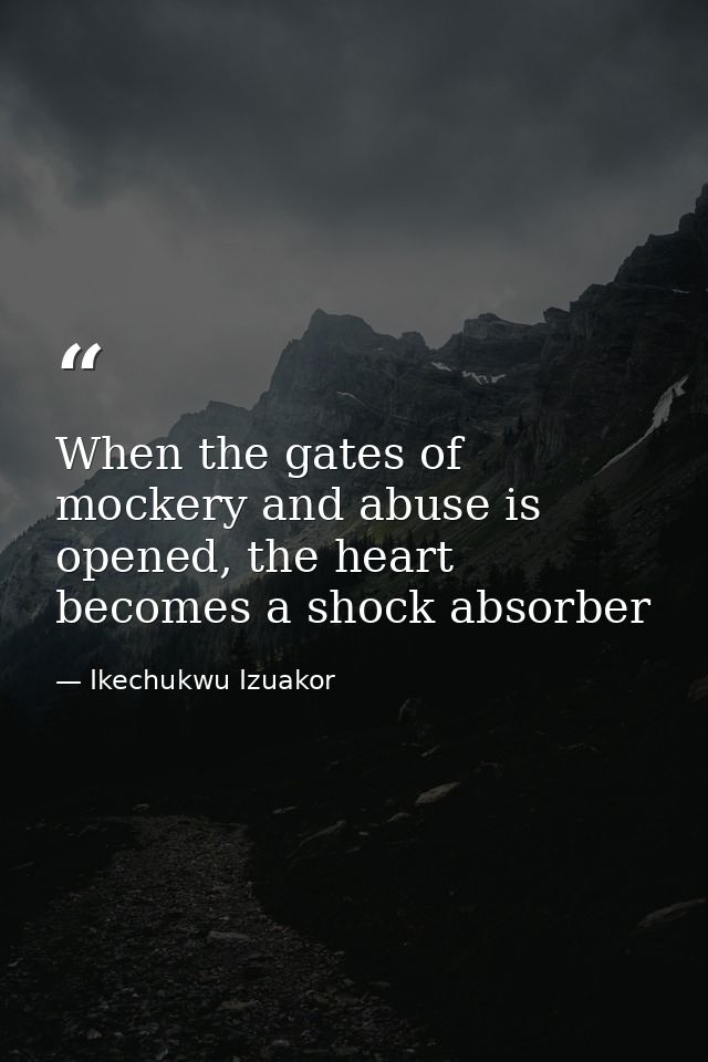 When the gates of mockery and abuse is opened, the heart becomes a shock absorber — Ikechukwu Izuakor