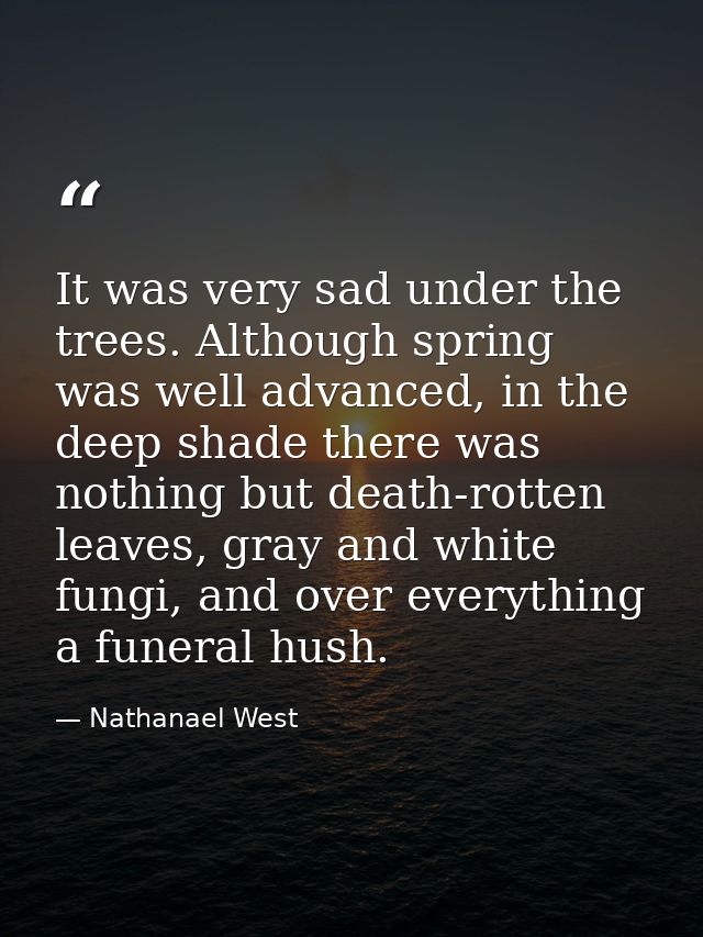 It was very sad under the trees. Although spring was well advanced, in the deep shade there was nothing but death-rotten — Nathanael West