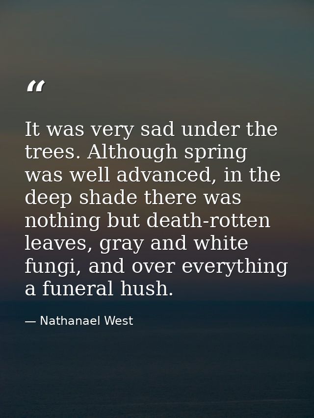 It was very sad under the trees. Although spring was well advanced, in the deep shade there was nothing but death-rotten — Nathanael West