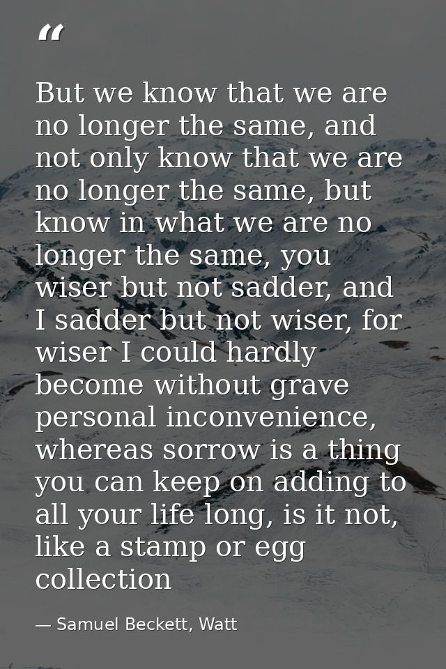 But we know that we are no longer the same, and not only know that we are no longer the same, but know in what we are no — Samuel Beckett, Watt
