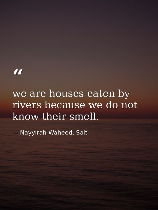 we are houses eaten by rivers because we do not know their smell. — Nayyirah Waheed, Salt