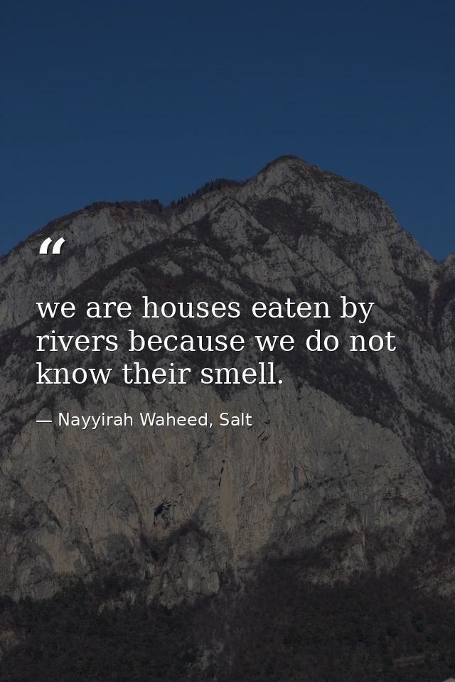 we are houses eaten by rivers because we do not know their smell. — Nayyirah Waheed, Salt