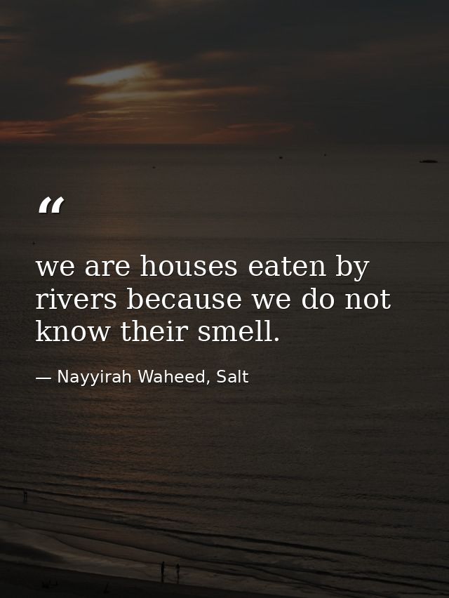 we are houses eaten by rivers because we do not know their smell. — Nayyirah Waheed, Salt
