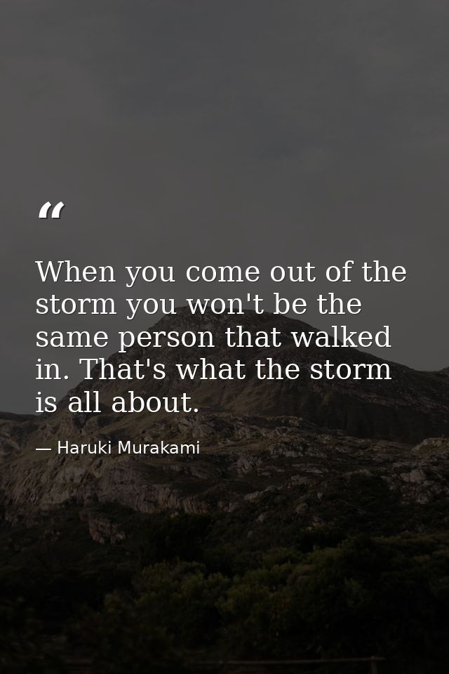 When you come out of the storm you won't be the same person that walked in. That's what the storm is all about. — Haruki Murakami