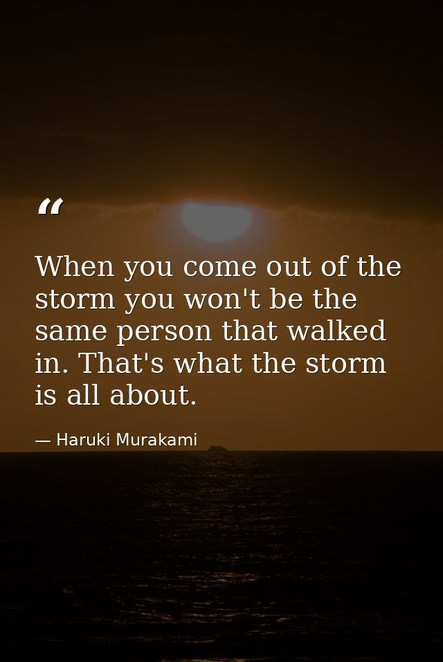 When you come out of the storm you won't be the same person that walked in. That's what the storm is all about. — Haruki Murakami