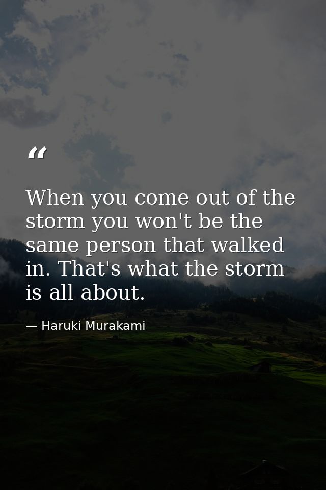 When you come out of the storm you won't be the same person that walked in. That's what the storm is all about. — Haruki Murakami